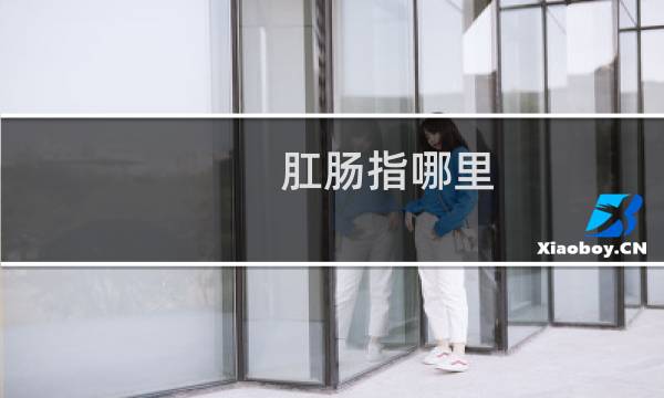 肛肠指哪里
