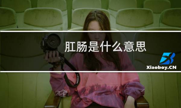 肛肠是什么意思