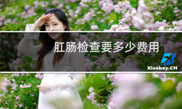 肛肠检查要多少费用