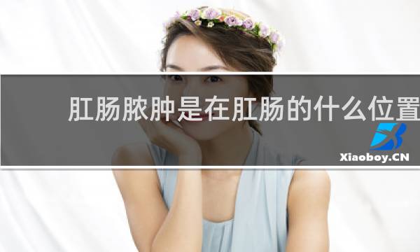 肛肠脓肿是在肛肠的什么位置