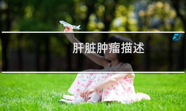 肝脏肿瘤描述