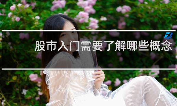 股市入门需要了解哪些概念