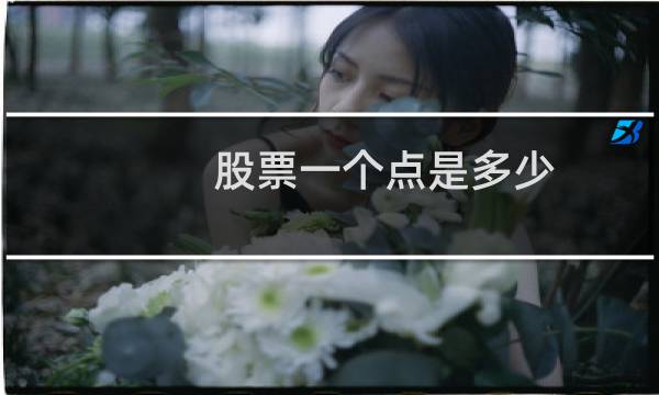 股票一个点是多少