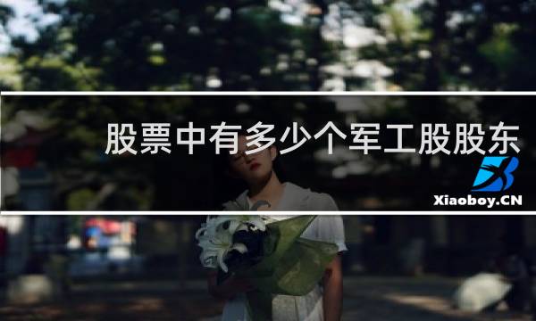 股票中有多少个军工股股东