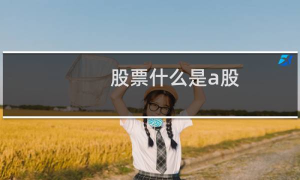 股票什么是a股