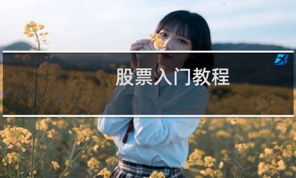 股票入门教程
