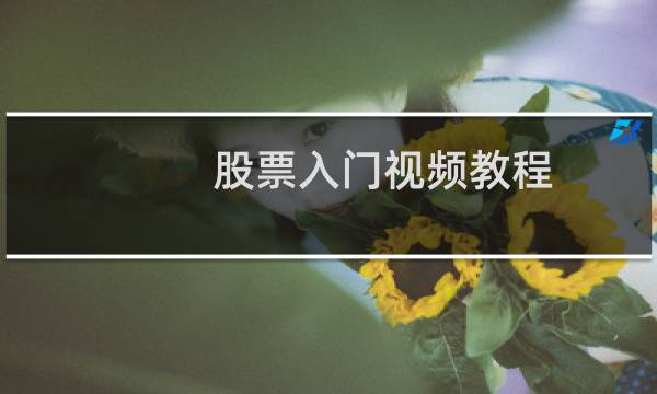 股票入门视频教程