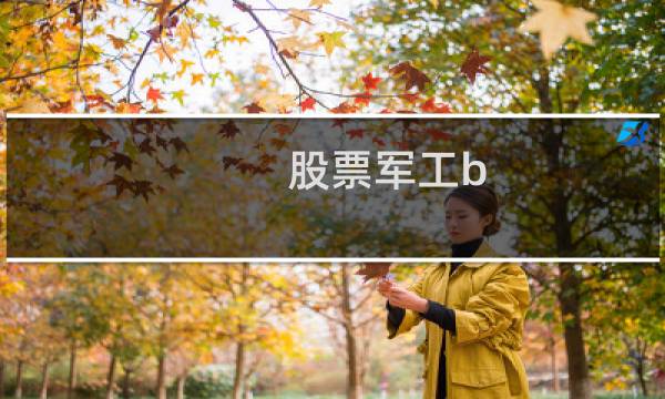 股票军工b 是什么意思