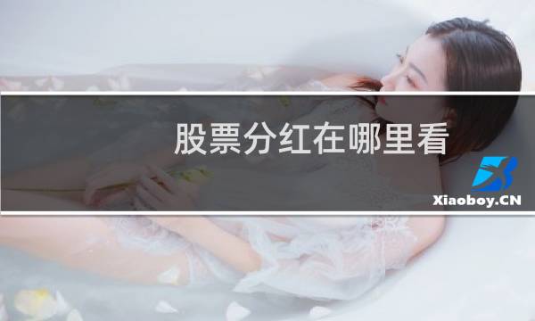 股票分红在哪里看