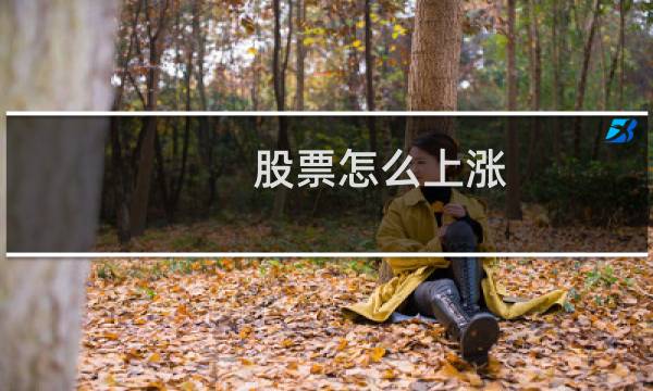股票怎么上涨
