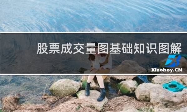 股票成交量图基础知识图解