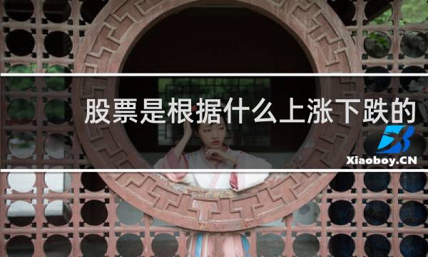 股票是根据什么上涨下跌的