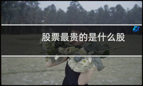 股票最贵的是什么股