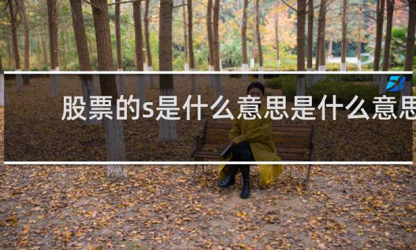 股票的s是什么意思是什么意思