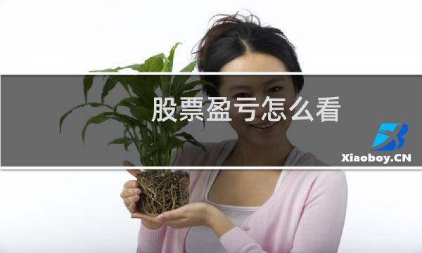 股票盈亏怎么看