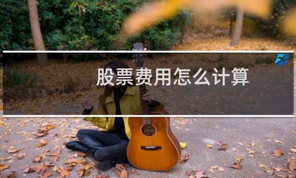 股票费用怎么计算