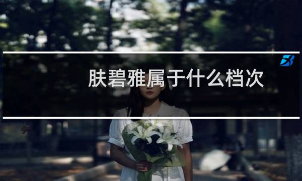 肤碧雅属于什么档次