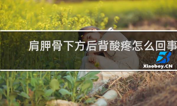 肩胛骨下方后背酸疼怎么回事