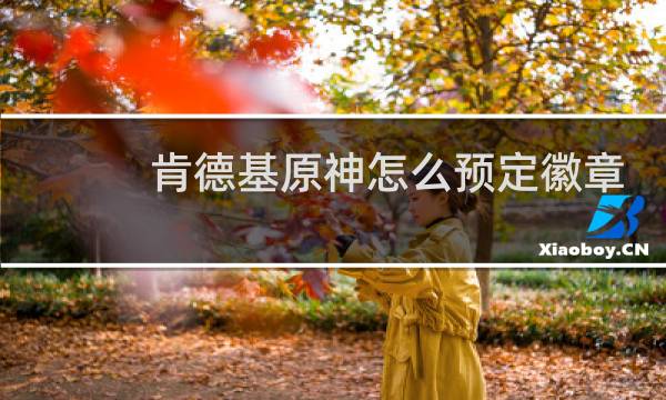 肯德基原神怎么预定徽章