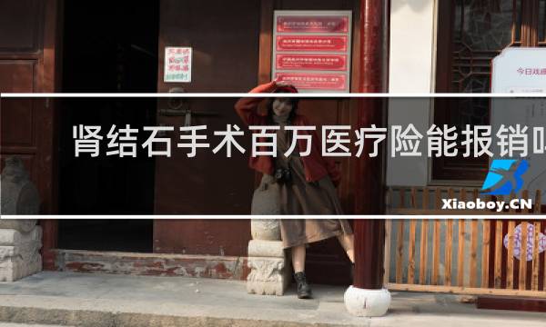 肾结石手术百万医疗险能报销吗