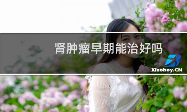 肾肿瘤早期能治好吗