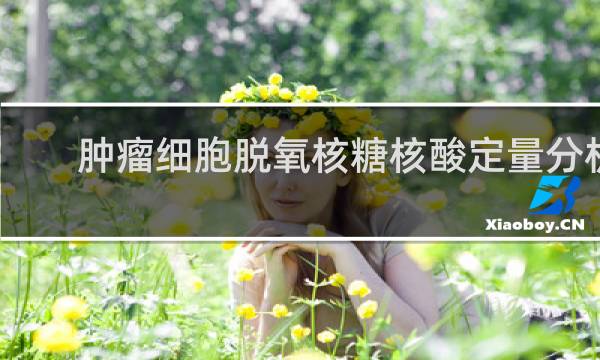 肿瘤细胞脱氧核糖核酸定量分析