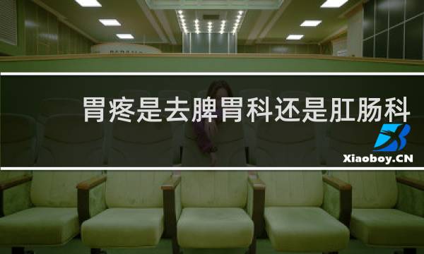 胃疼是去脾胃科还是肛肠科