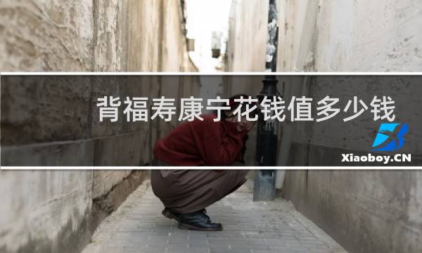 背福寿康宁花钱值多少钱