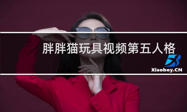 胖胖猫玩具视频第五人格