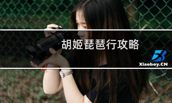 胡姬琵琶行攻略