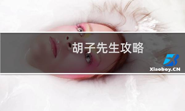 胡子先生攻略