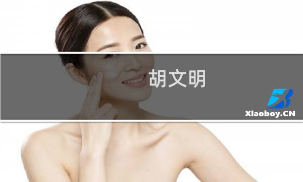 胡文明 价格