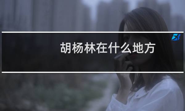 胡杨林在什么地方