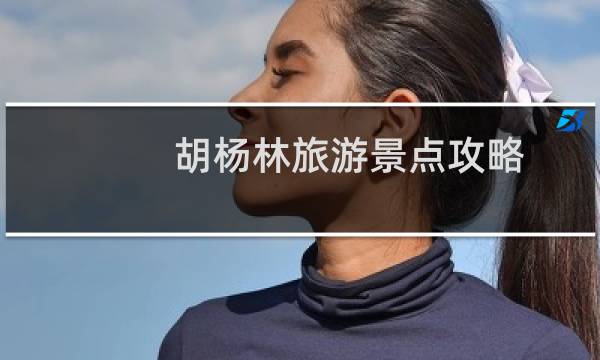 胡杨林旅游景点攻略