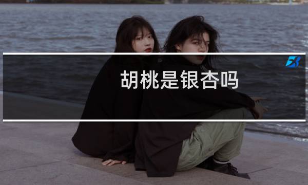 胡桃是银杏吗