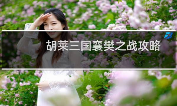 胡莱三国襄樊之战攻略