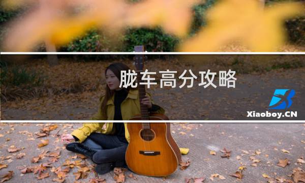 胧车高分攻略