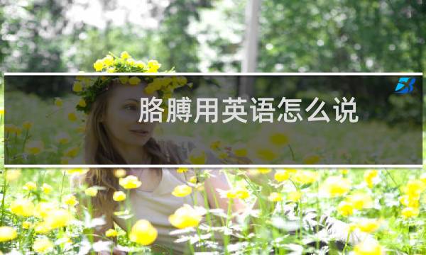 胳膊用英语怎么说