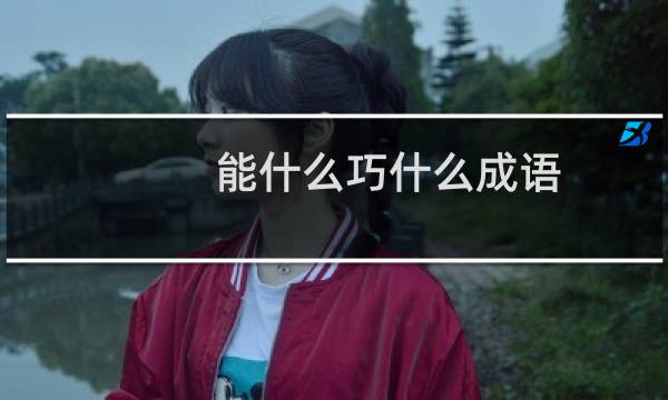 能什么巧什么成语
