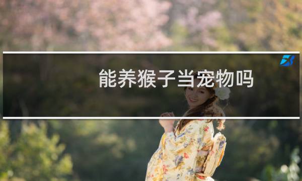 能养猴子当宠物吗