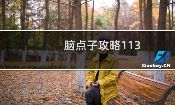 脑点子攻略113