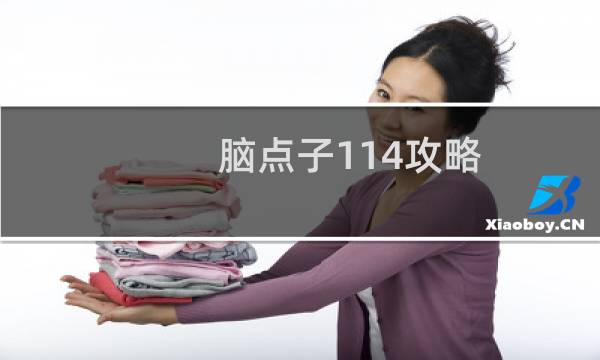 脑点子114攻略