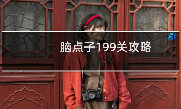 脑点子199关攻略