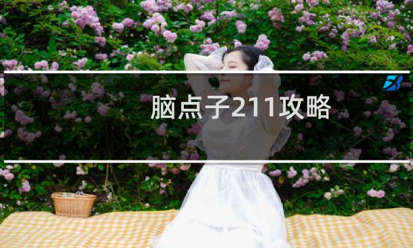 脑点子211攻略