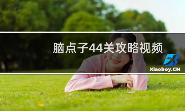 脑点子44关攻略视频