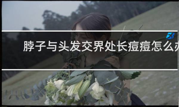 脖子与头发交界处长痘痘怎么办