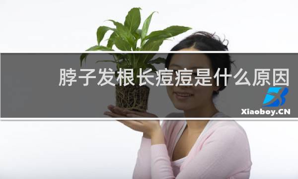 脖子发根长痘痘是什么原因
