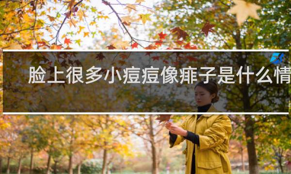 脸上很多小痘痘像痱子是什么情况