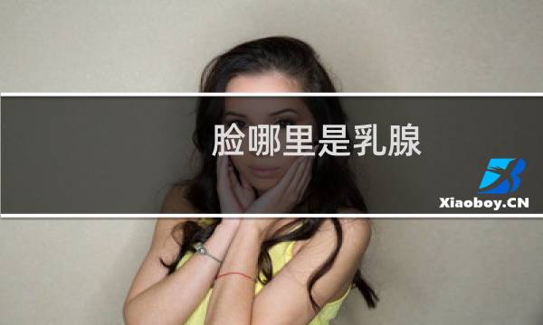 脸哪里是乳腺