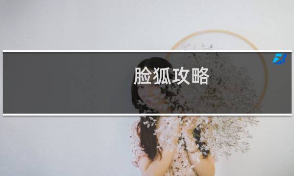 脸狐攻略